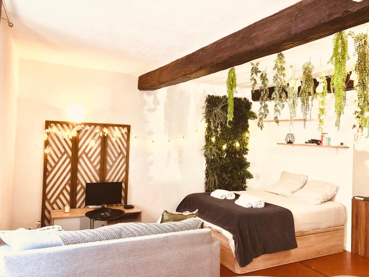 Jungle Hyper Centre Apartment Nimes Exterior photo